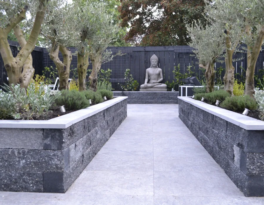 Tuinaanleg Zoetermeer - mediterrane tuin met olijfbomen